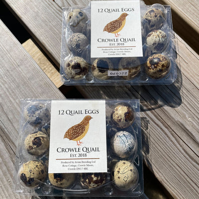 Quail Eggs (for eating) wholesale