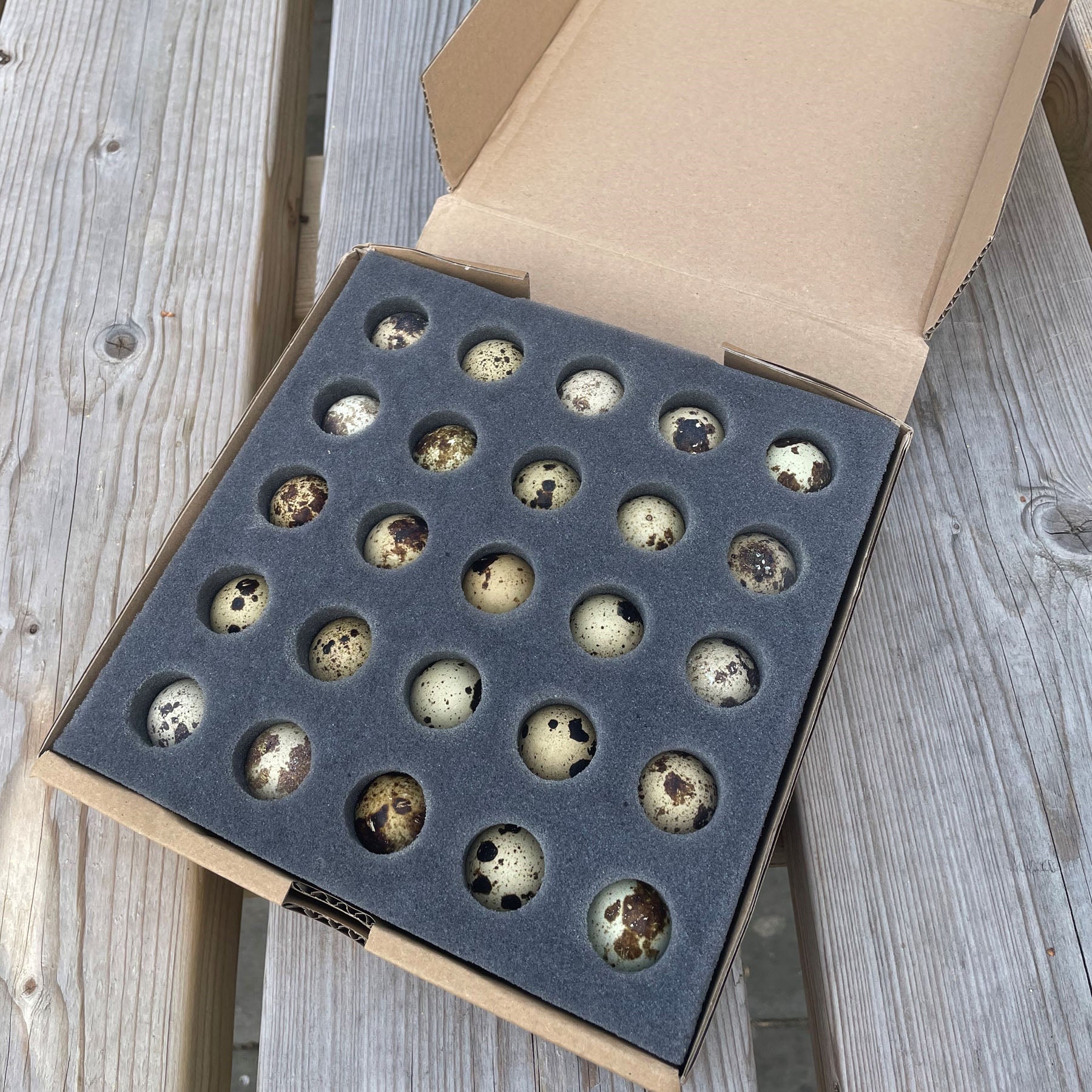 Quail Eggs (for hatching) Box of 25