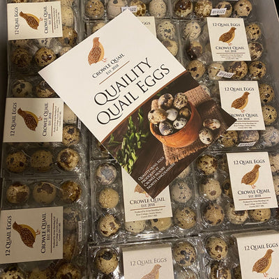 Quail Eggs (for eating) wholesale